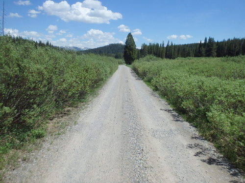 GDMBR: Snake River Headwater Meadow Brush.